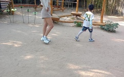 rh男男车车的车车视频